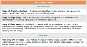 The 4 Stages of Sleep